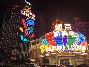 澳门内地夜游爆料最新,内地游客爆料最新玩法